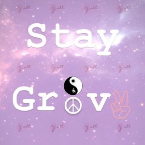 Meet your Posher, Anyi